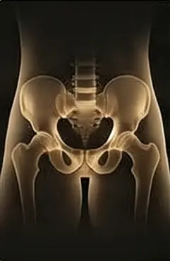 Radiografia da pelve